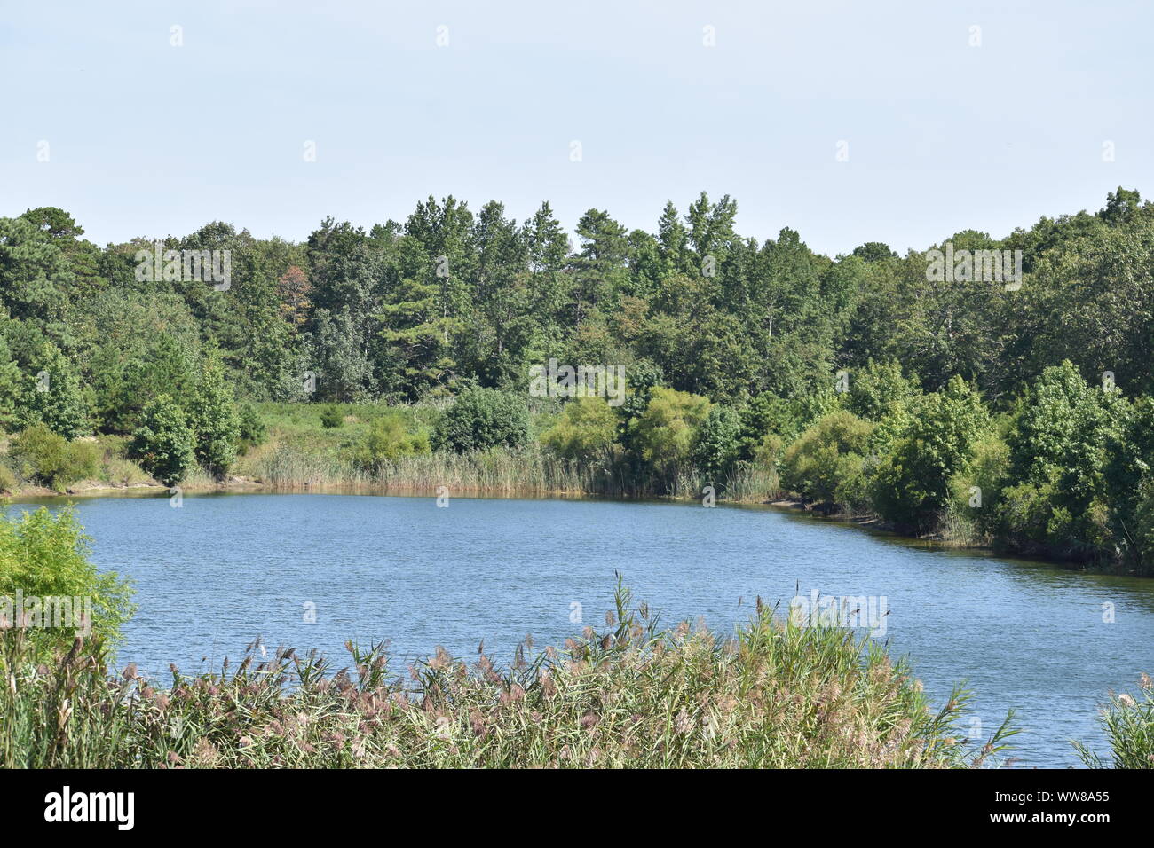 Campi del new jersey Foto Stock