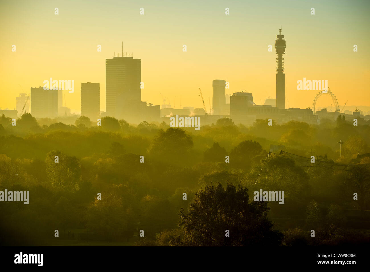 Golden sunrise skyline di Londra, Inghilterra dotato di moderni grattacieli peeking fino al di sopra della misty alberi del parco Foto Stock
