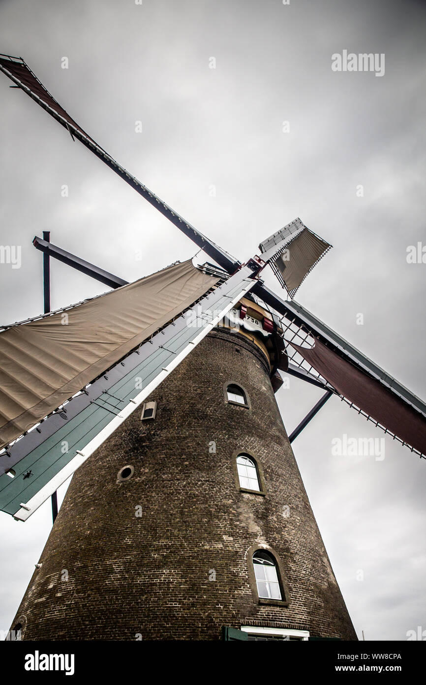 Tradizionale Mulino a vento olandese a Kinderdijk Foto Stock