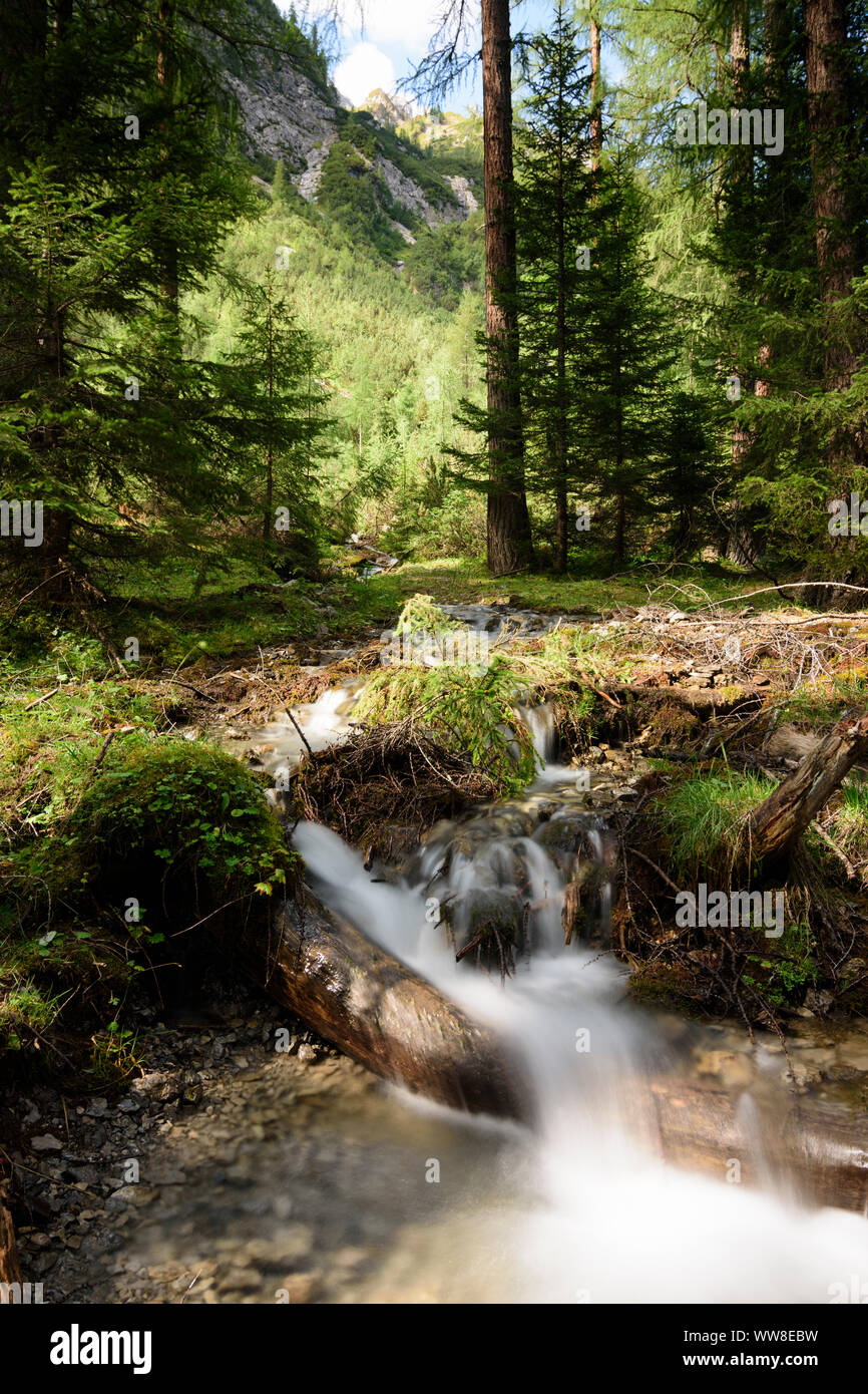 Lechtaler Alpen, Alpi Lechtal, stream, foresta, idromassaggio, Regione TirolWest, Tirolo, Austria Foto Stock