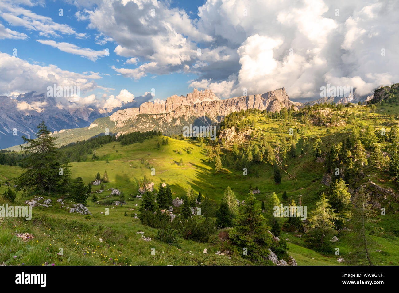 Croda da Lago e lastoni di Formin con verdi pascoli accanto alle Cinque Torri, Dolomiti, Cortina d Ampezzo, Belluno, Veneto, Italia Foto Stock