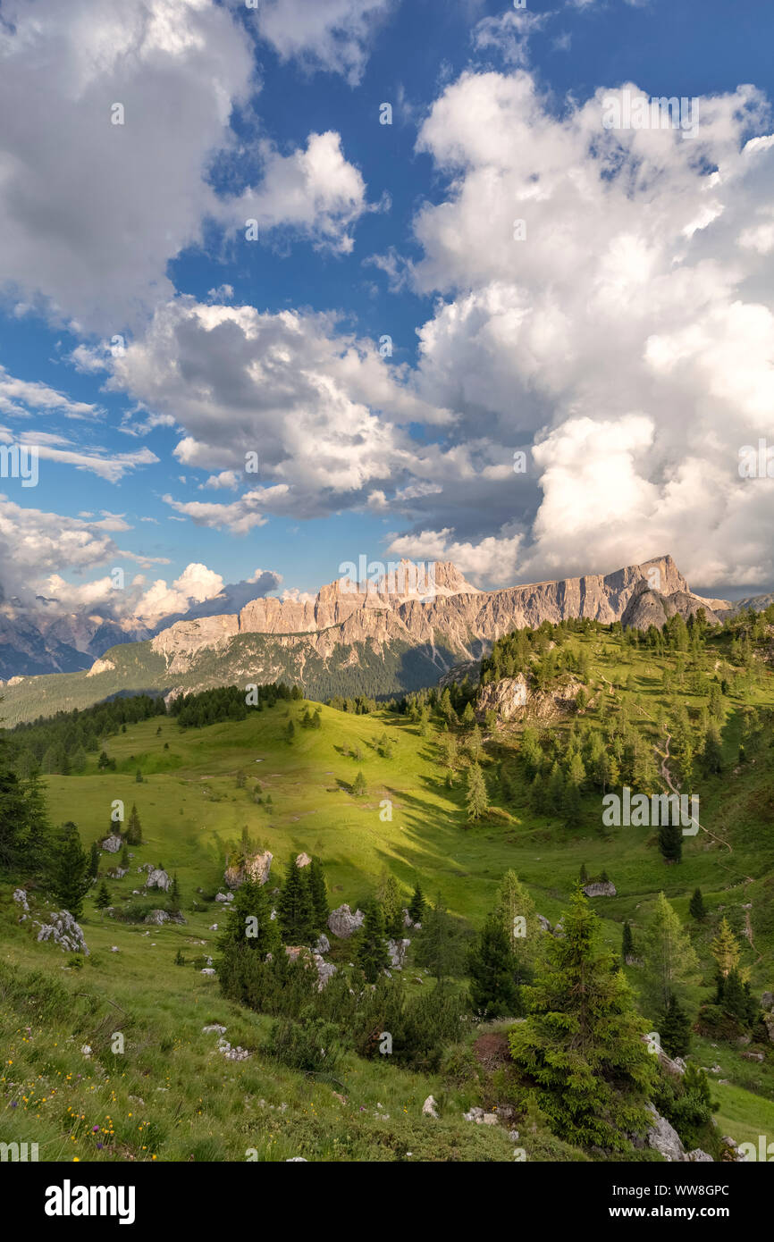 Croda da Lago e lastoni di Formin con verdi pascoli accanto alle Cinque Torri, Dolomiti, Cortina d Ampezzo, Belluno, Veneto, Italia Foto Stock