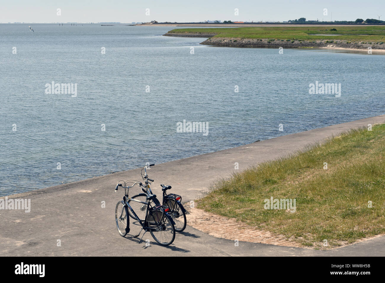 Due biciclette parcheggiate su una strada asfaltata sulla costa Dell'isola di Texel con il Mare del Nord di fronte delle biciclette Foto Stock