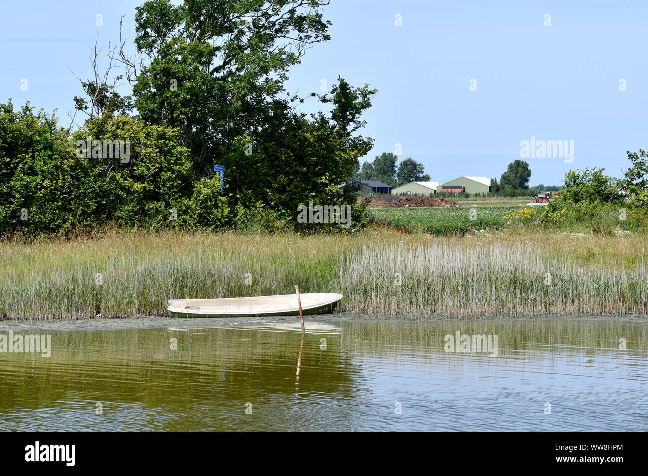 Una piccola barca a remi nella canna su un lago su L'isola di Texel (Paesi Bassi) Foto Stock
