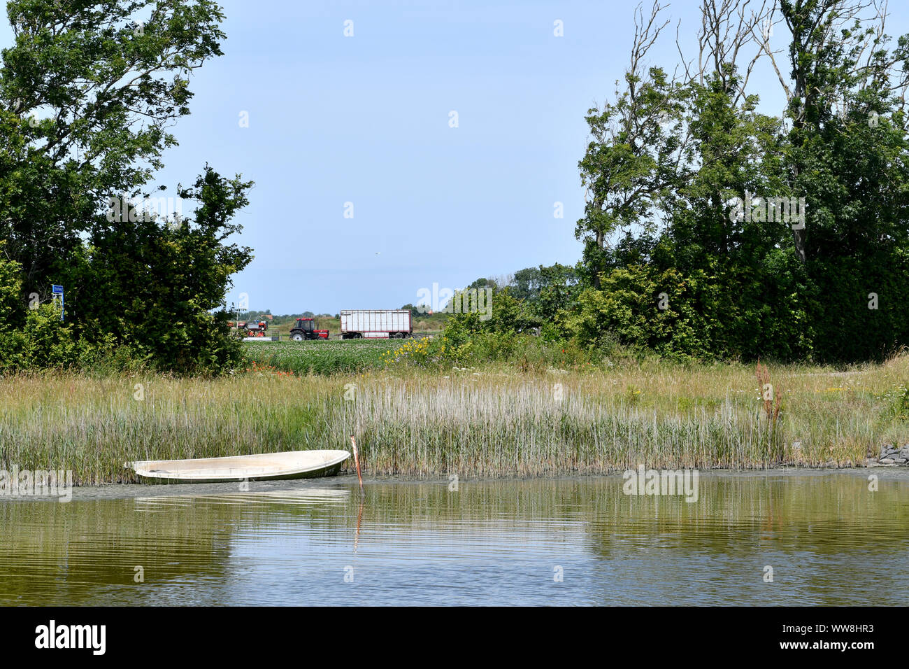 Una piccola barca a remi nella canna su un lago su L'isola di Texel (Paesi Bassi) Foto Stock