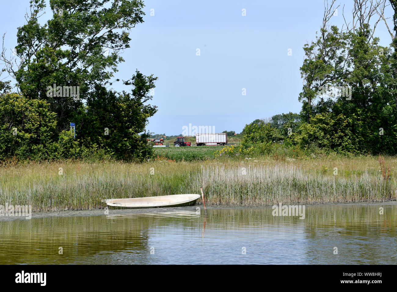Una piccola barca a remi nella canna su un lago su L'isola di Texel (Paesi Bassi) Foto Stock