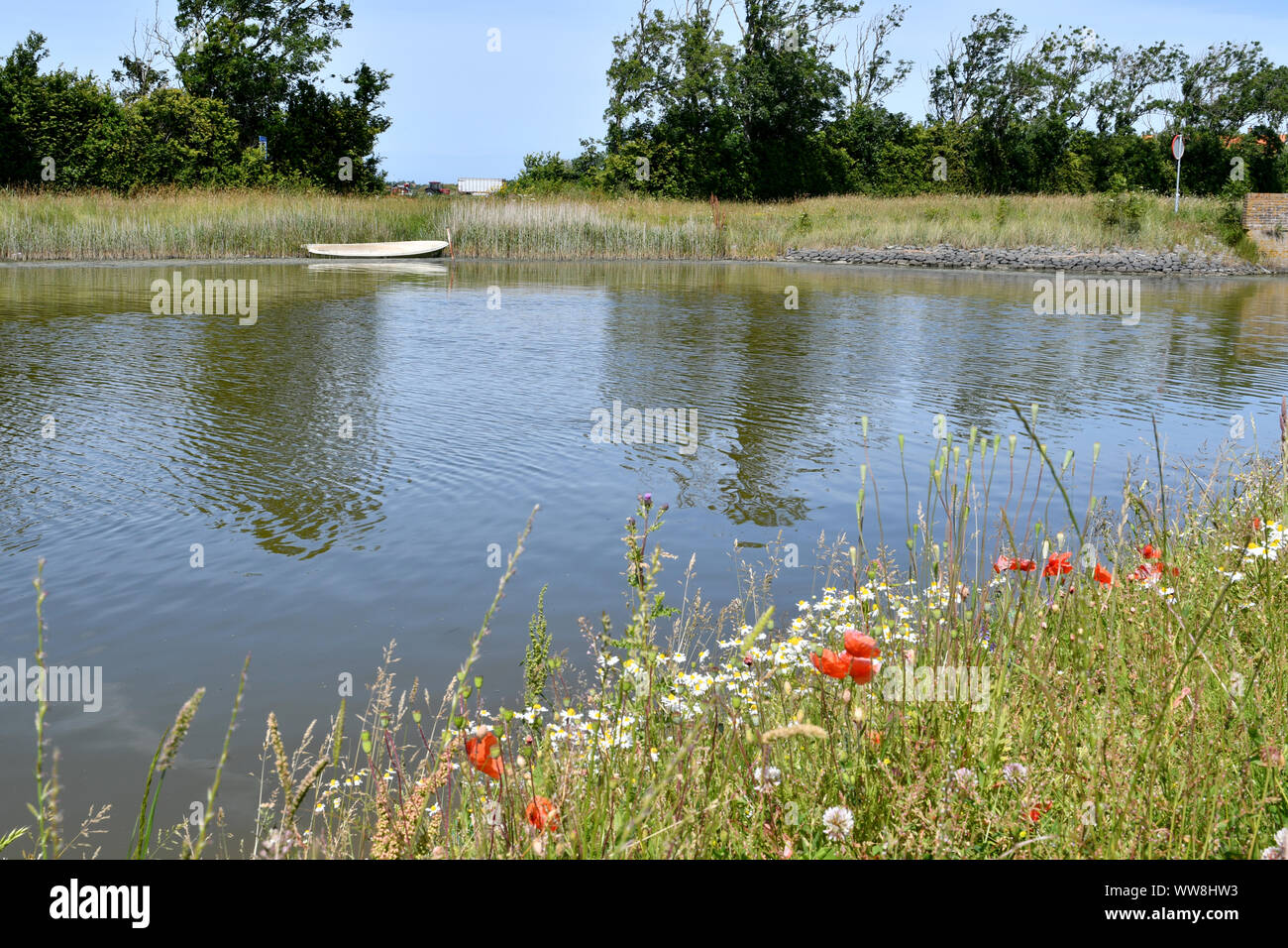 Una piccola barca a remi nella canna su un lago su L'isola di Texel (Paesi Bassi) Foto Stock