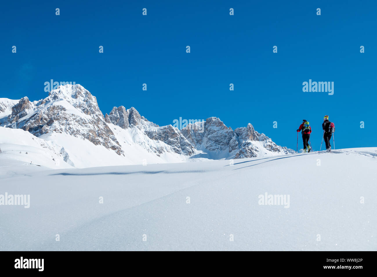 Sci alpinisti in salita verso la Forca Rossa, Valfredda, Valle del Biois, Falcade, Belluno, Veneto, Italia Foto Stock