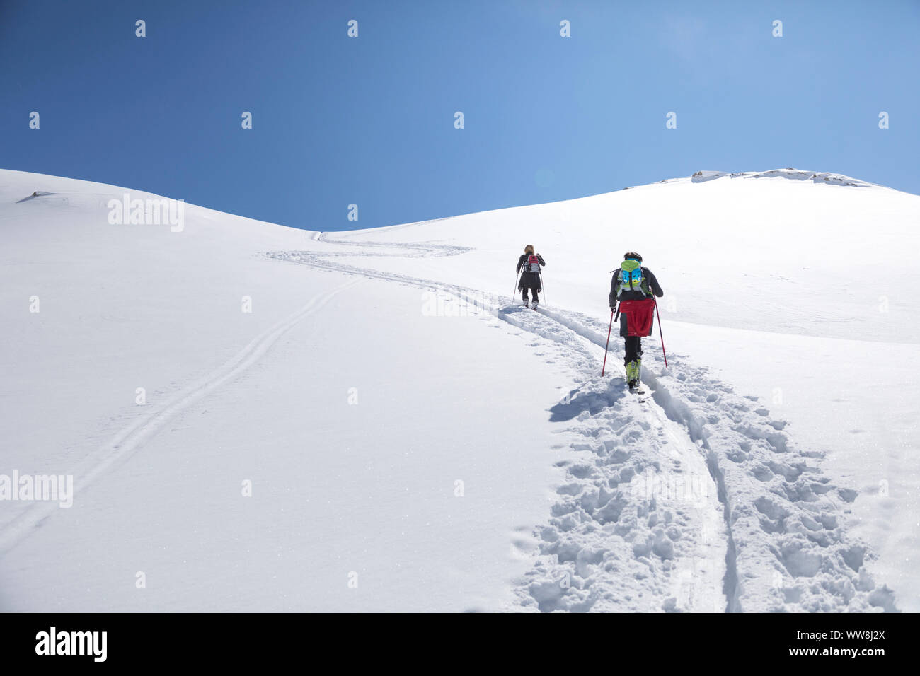 Alpinista di sci in salita verso la Forca Rossa, Valfredda, Valle del Biois, Falcade, Belluno, Veneto, Italia Foto Stock