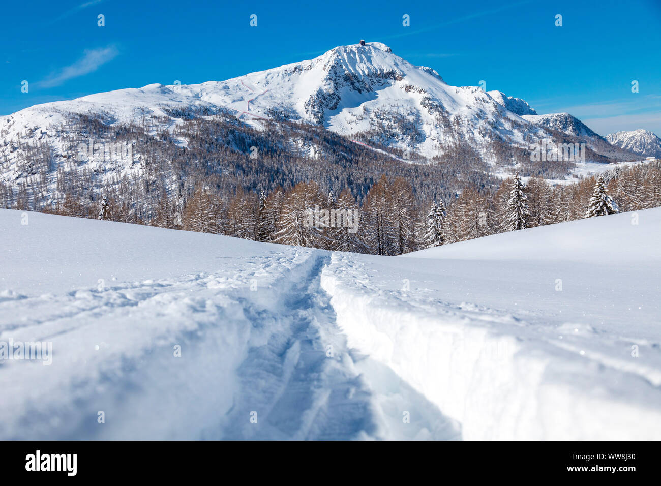 Piste da sci alpinisti sulla neve, sullo sfondo del Col Margherita montagna, Valfredda, Valle del Biois, Falcade, Belluno, Veneto, Italia Foto Stock