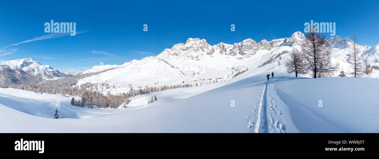 Sci alpinisti in salita verso la Forca Rossa, Valfredda, Valle del Biois, Falcade, Belluno, Veneto, Italia Foto Stock