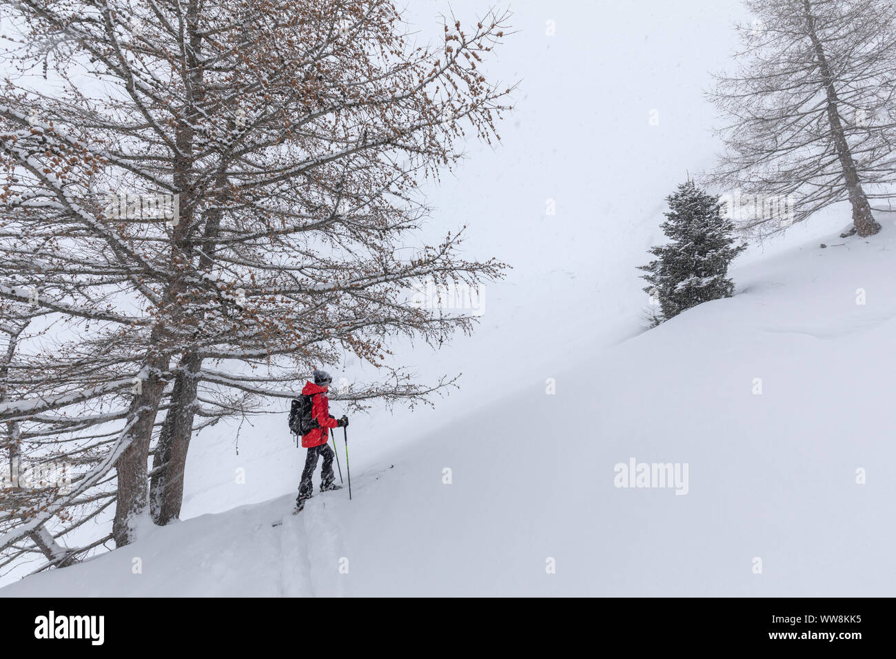 Sci alpinismo in Valle Aurina sotto una nevicata, Kasern, Predoi, Bolzano, Alto Adige, Italia Foto Stock