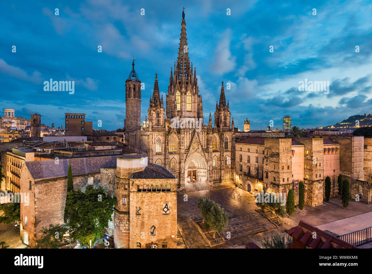 Barcellona skyline di notte con la cattedrale gotica, Spagna Foto Stock