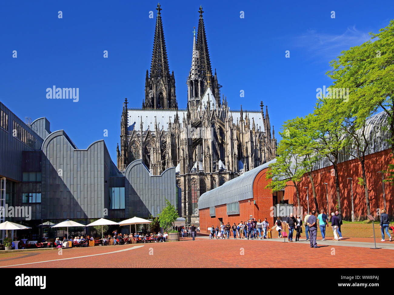 Piastra della cattedrale con il Museo Ludwig e la Cattedrale di Colonia, nella Renania settentrionale-Vestfalia, Germania Ovest, Germania Foto Stock