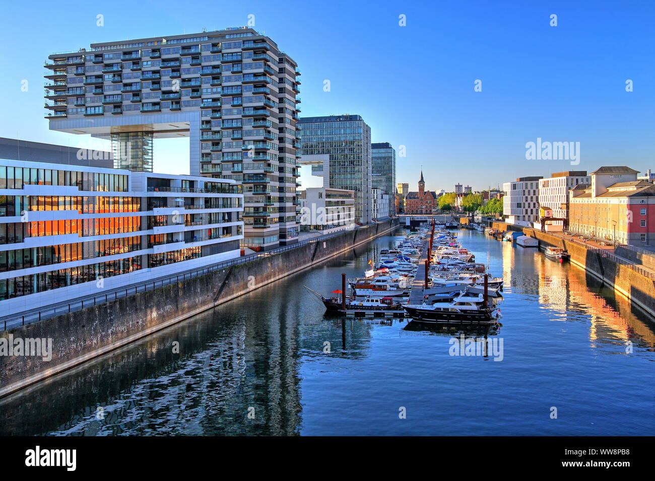 Case di gru in Rheinauhafen, Colonia, nella Renania settentrionale-Vestfalia, Germania Ovest, Germania Foto Stock