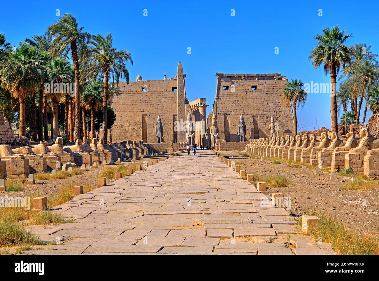 Viale di sfingi con pilone, Obelisco e statue di Ramses II, Tempio di Luxor, Luxor, Alto Egitto Egitto Foto Stock