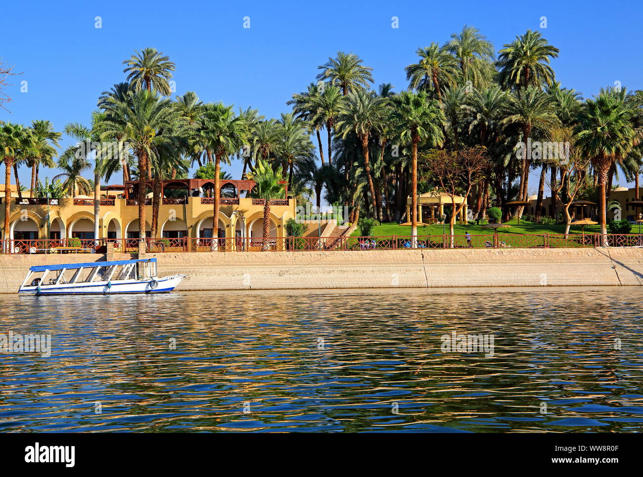 Waterfront e il giardino delle palme sulle rive del Nilo dal Mercure Hotel, vicino a Karnak Luxor, Alto Egitto Egitto Foto Stock