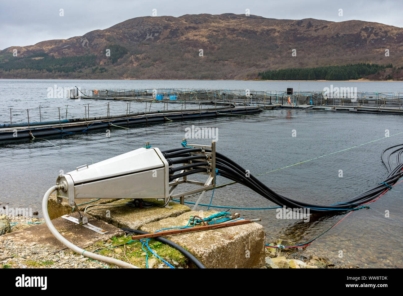Allevamento di penne e delle apparecchiature associate ad un allevamento ittico su Loch Ba, Isle of Mull, Scotland, Regno Unito Foto Stock