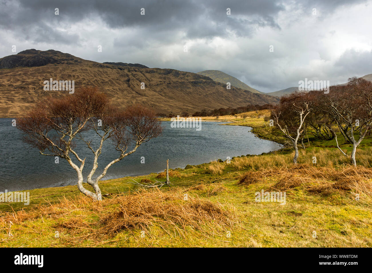 Beinn na Duatharach e Beinn Talaidh sopra Loch Ba, Isle of Mull, Scotland, Regno Unito Foto Stock