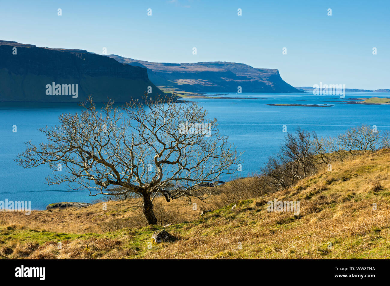 Le scogliere di Creag Mhòr sopra Loch na Keal, Isle of Mull, Scotland, Regno Unito Foto Stock