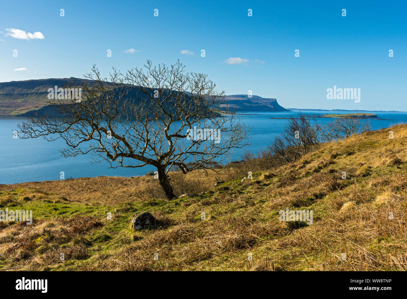 Le scogliere di Creag Mhòr sopra Loch na Keal, Isle of Mull, Scotland, Regno Unito Foto Stock