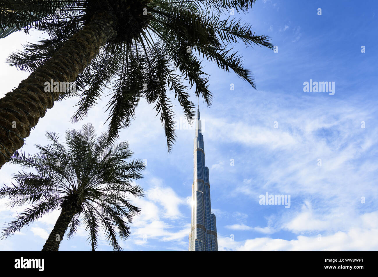 Vista del magnifico Burj Khalifa incorniciata da alcuni alberi di palma in primo piano. Il Burj Khalifa è il più alto torre nel mondo. Foto Stock
