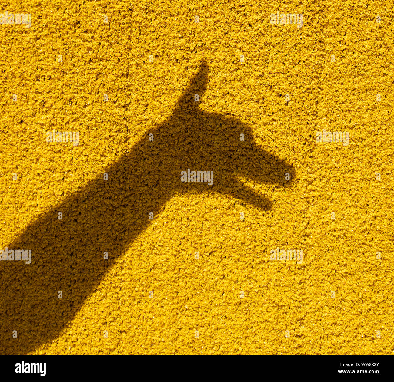 Mano mostra un cane, la sua ombra sul muro Foto Stock