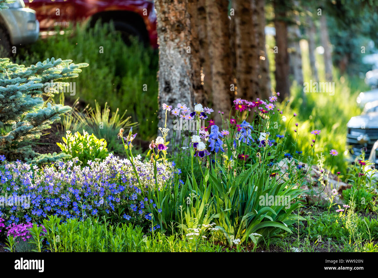 Snowmass Village in Aspen Colorado, parcheggio e colorata estate fiori paesaggistici Foto Stock