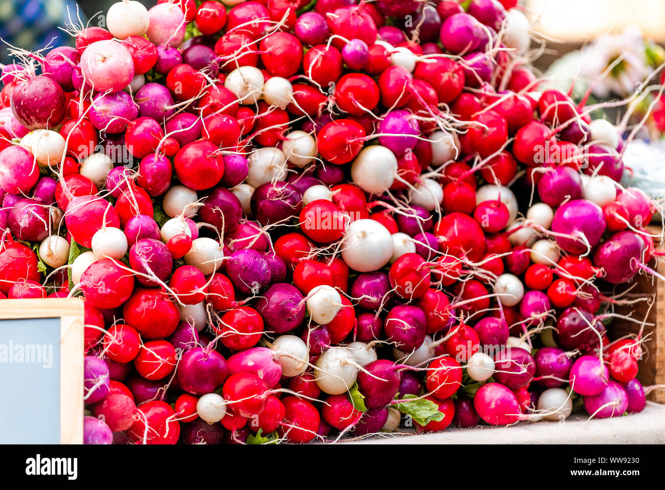 Primo piano della pila di colorata viola, rosa bianco e rosso ravanelli in Aspen Colorado estate farmers market Foto Stock