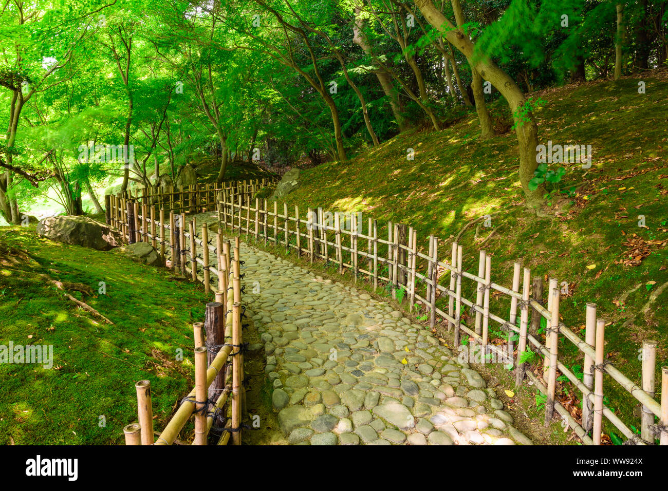 Piccola passerella di pietra nel giardino giapponese del paesaggio. Foto Stock