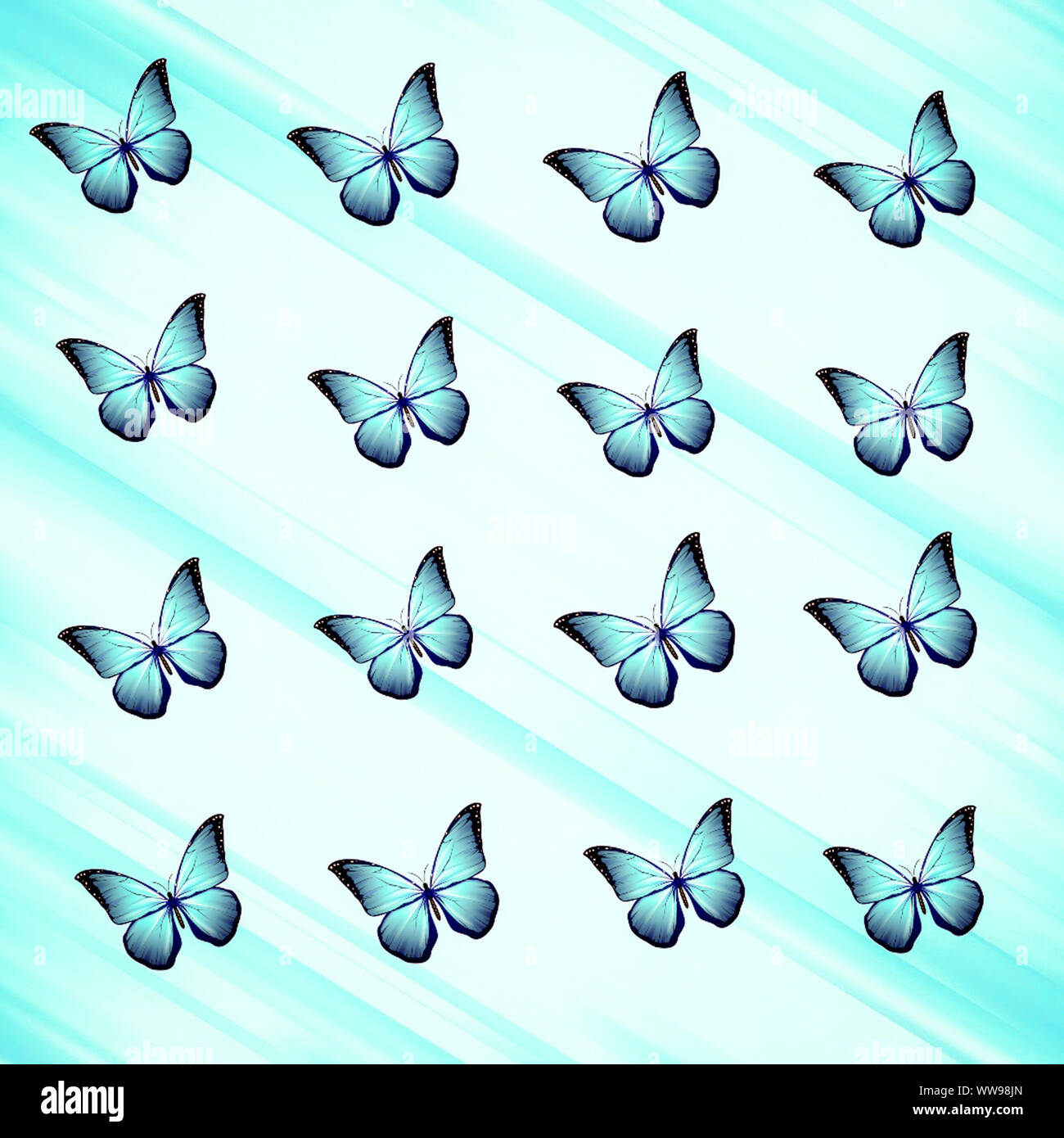 Belle blue butterfly pattern,migliori come sfondo,il coperchio e altri web utilizzare Foto Stock