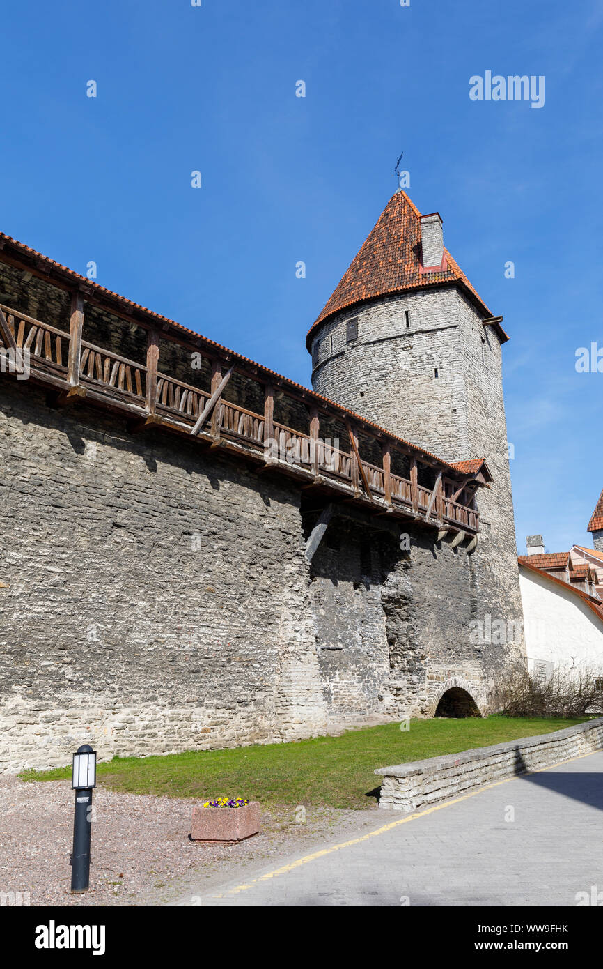 Calcare antiche mura e una torre nella città vecchia di Tallinn, Estonia Foto Stock