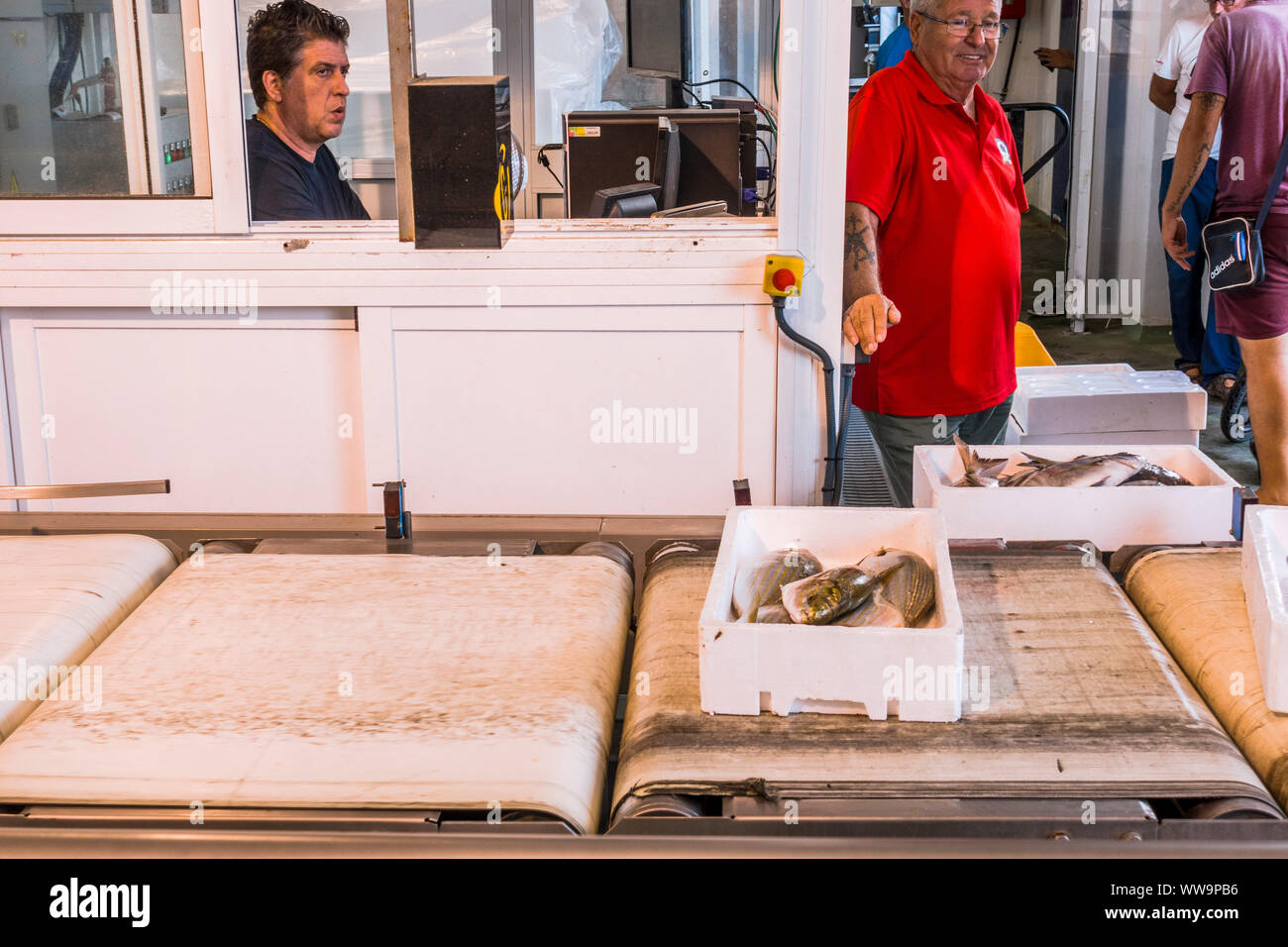Asta del pesce del mercato e mercato di frutti di mare, Fuengirola, Andalusia, Spagna. Foto Stock