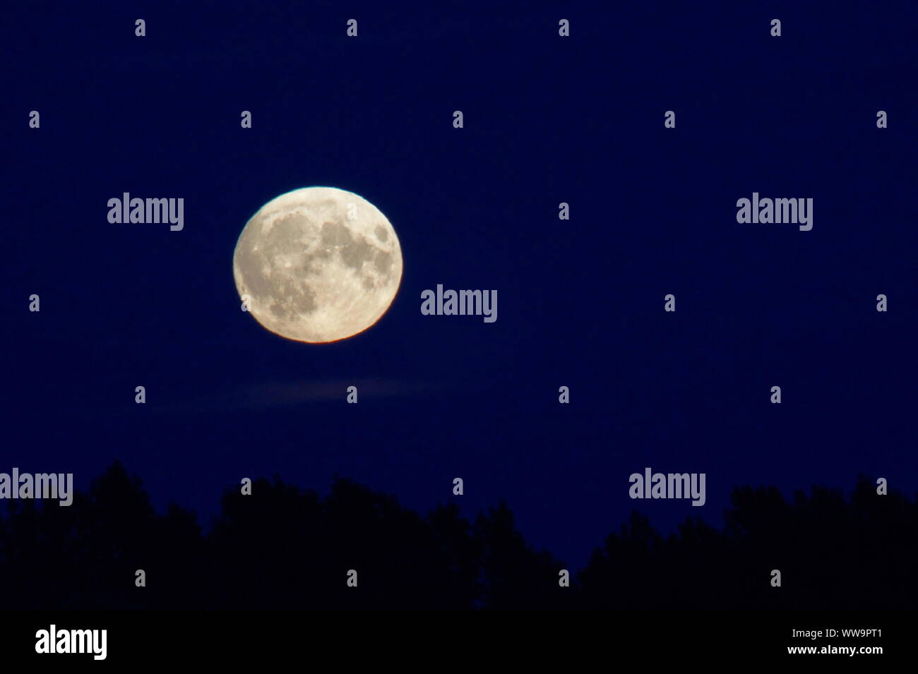 Morpeth, Northumberland, Regno Unito, 13 settembre 2019, Micro Luna, Harvest Moon, Credito David Whinham/Alamy Live News Foto Stock