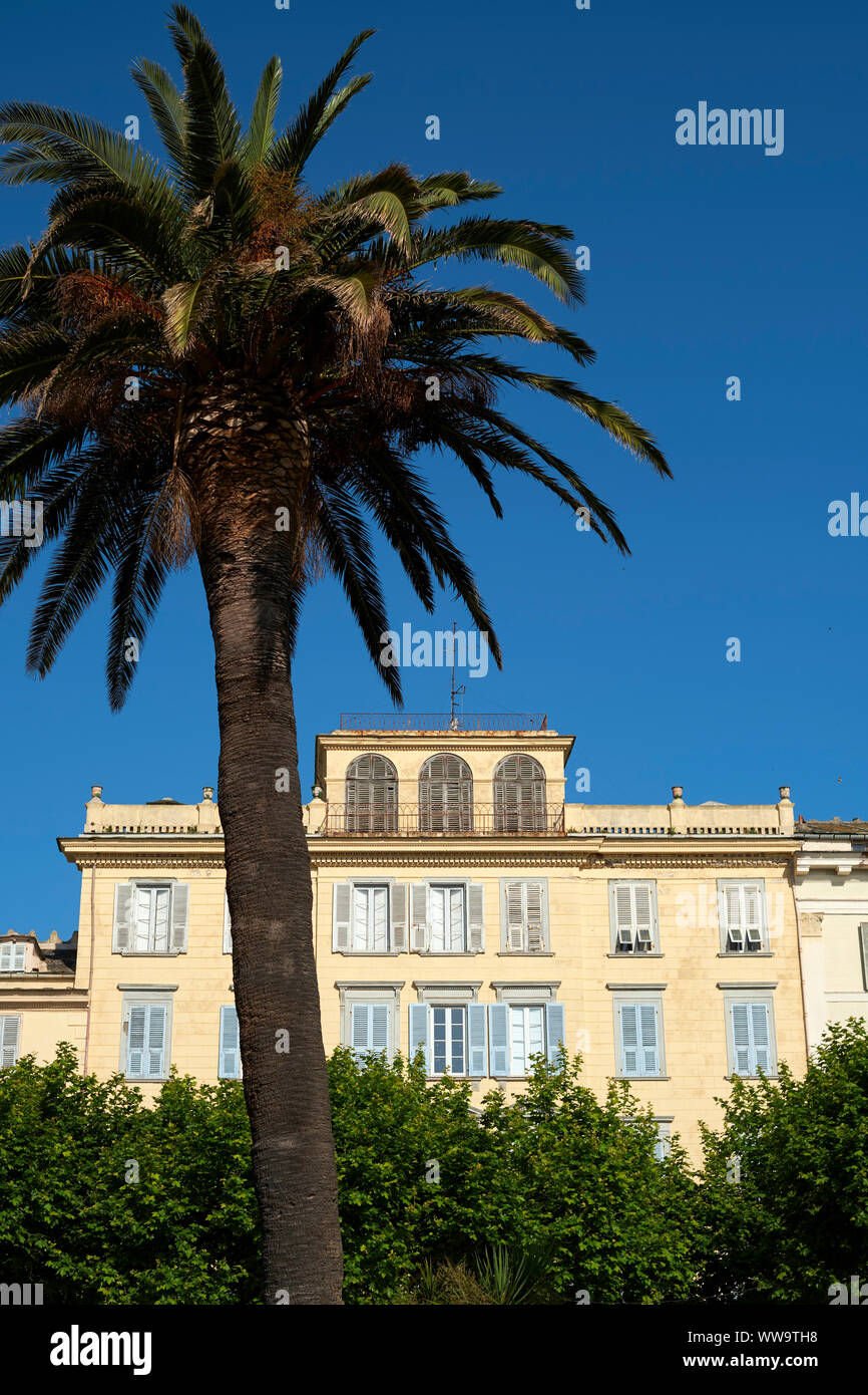 L'architettura e le palme di San Nicola quadra / Place Saint-Nicolas Bastia Corsica Francia. Foto Stock
