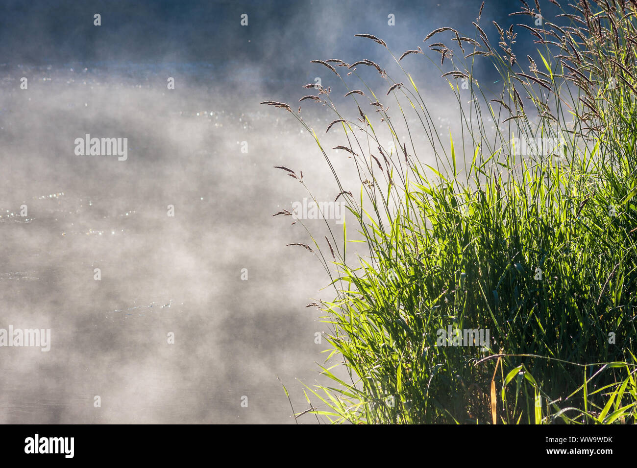 Vapore sopra l'acqua Foto Stock