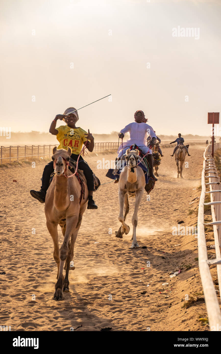 Cammello Racing a Taif, Arabia Saudita Foto Stock