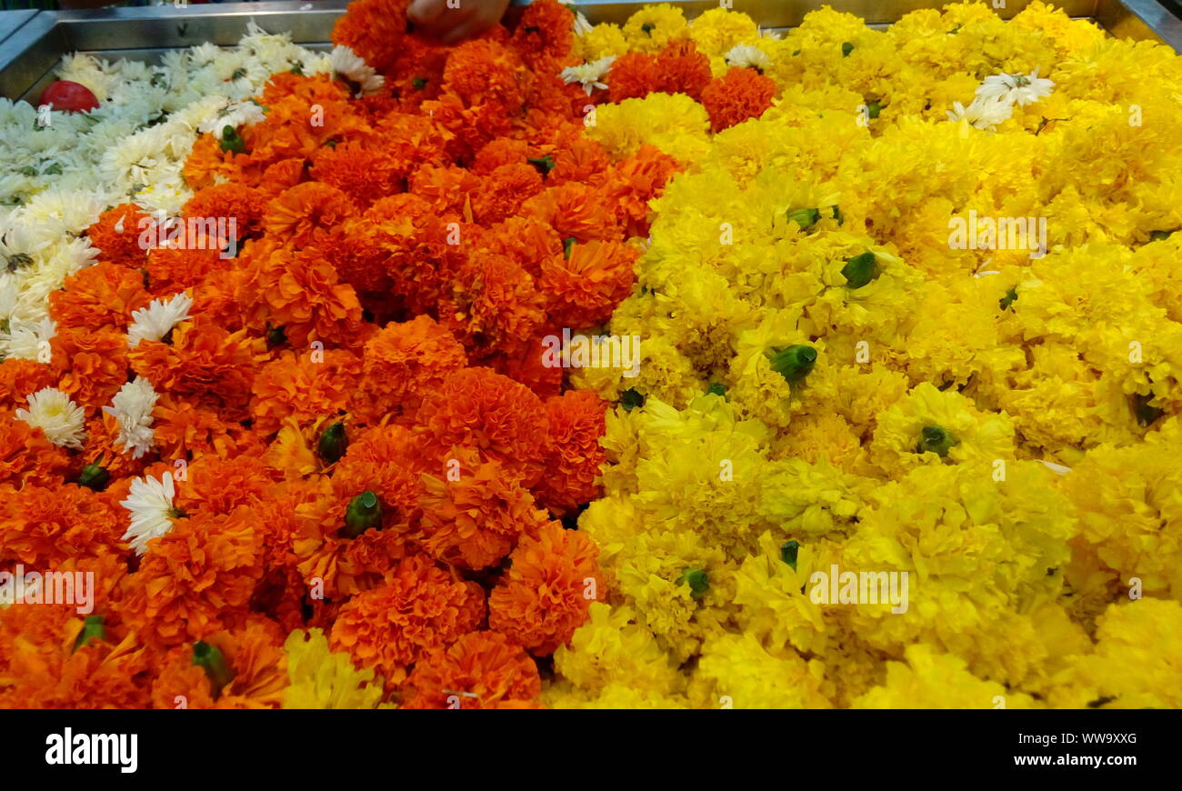 Mazzetto di un bel colore arancione e giallo calendula fiori per la vendita in un super mercato sarà utilizzato per le ghirlande e catturato di zoom per le immagini di auguri Foto Stock