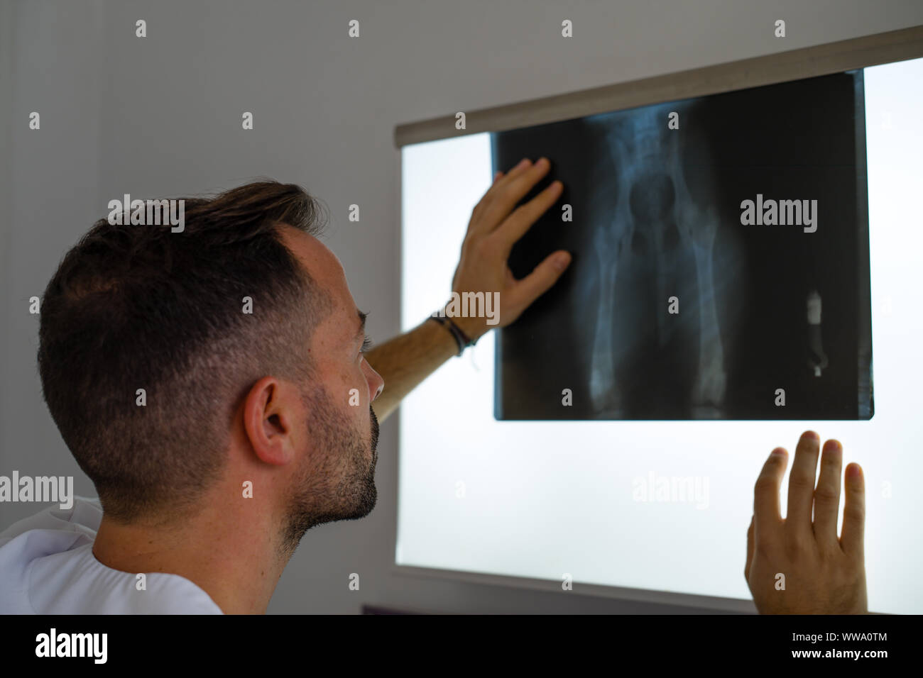 Medico è valutare la condizione Foto Stock