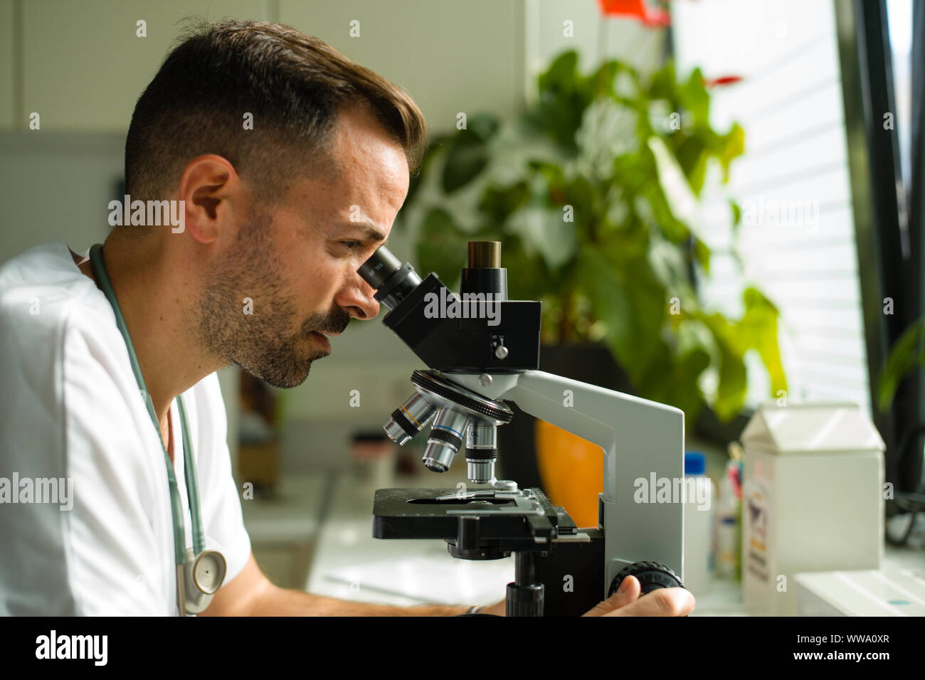 Guardando attraverso il microscopio Foto Stock
