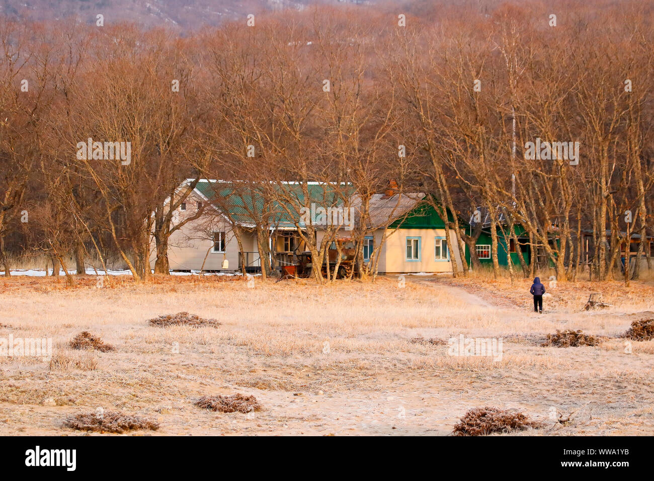 Proselochny cordon. Lazovsky Riserva Naturale, Sichote-Alin' Mountain Range. Japon mare. Primorsky Krai. La Russia, Asia Foto Stock