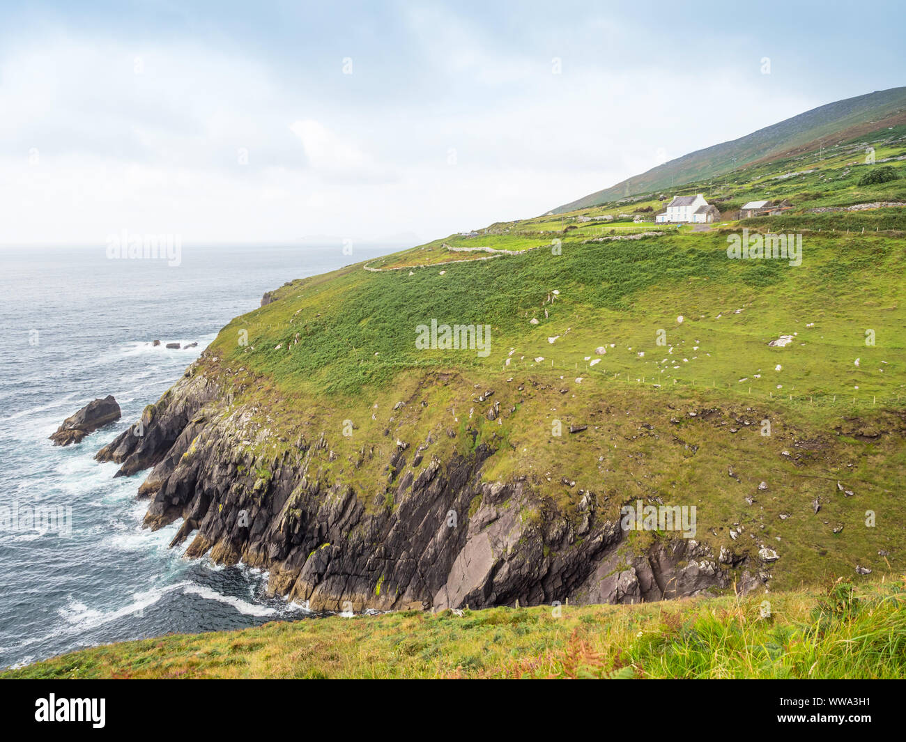 Paesaggi costieri lungo la penisola di Dingle unità costiere nella Contea di Kerry, Irlanda. Foto Stock