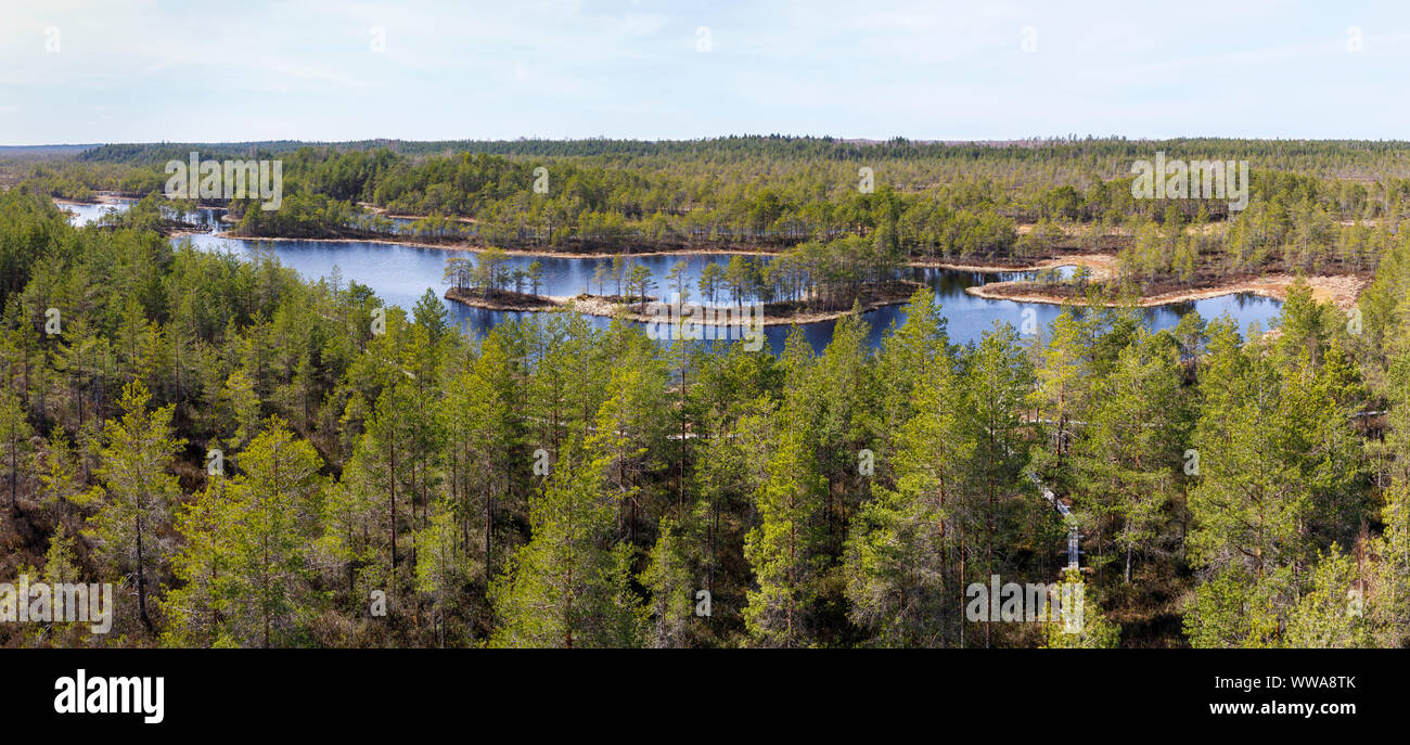 Panorama di una torbiera con piccoli laghi a luce diurna nella contea di Rapla in Estonia Foto Stock