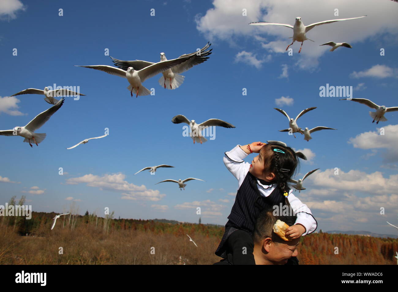 Carina ragazza che gioca con graziosi uccelli Foto Stock