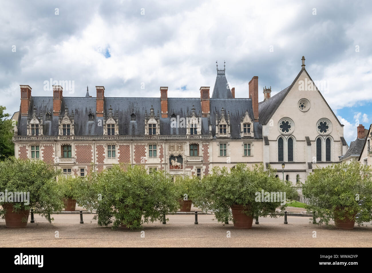 Blois in Francia il bel castello in centro Foto Stock