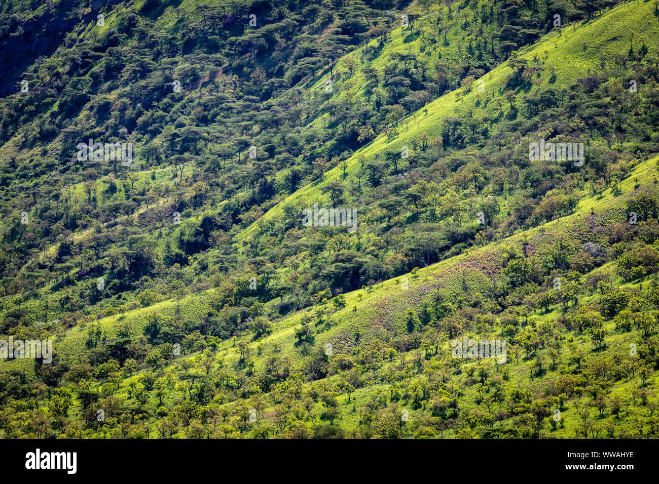 Chiusura del cratere vulcanico nel Parco Nazionale Queen Elizabeth, Uganda Foto Stock