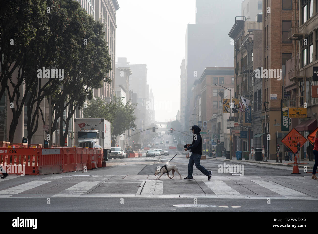 San Francisco, California - 17 Novembre 2018: un uomo che indossa un filtraggio aria maschera passeggiate con il cane attraverso la seconda strada. Foto Stock