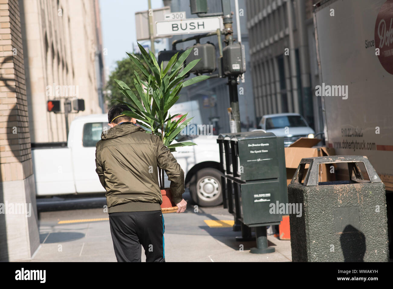 San Francisco, California - 17 Novembre 2018: un uomo che porta una pianta cespugliosa passeggiate nella parte anteriore del Bush Street sign in il quartiere finanziario. Foto Stock