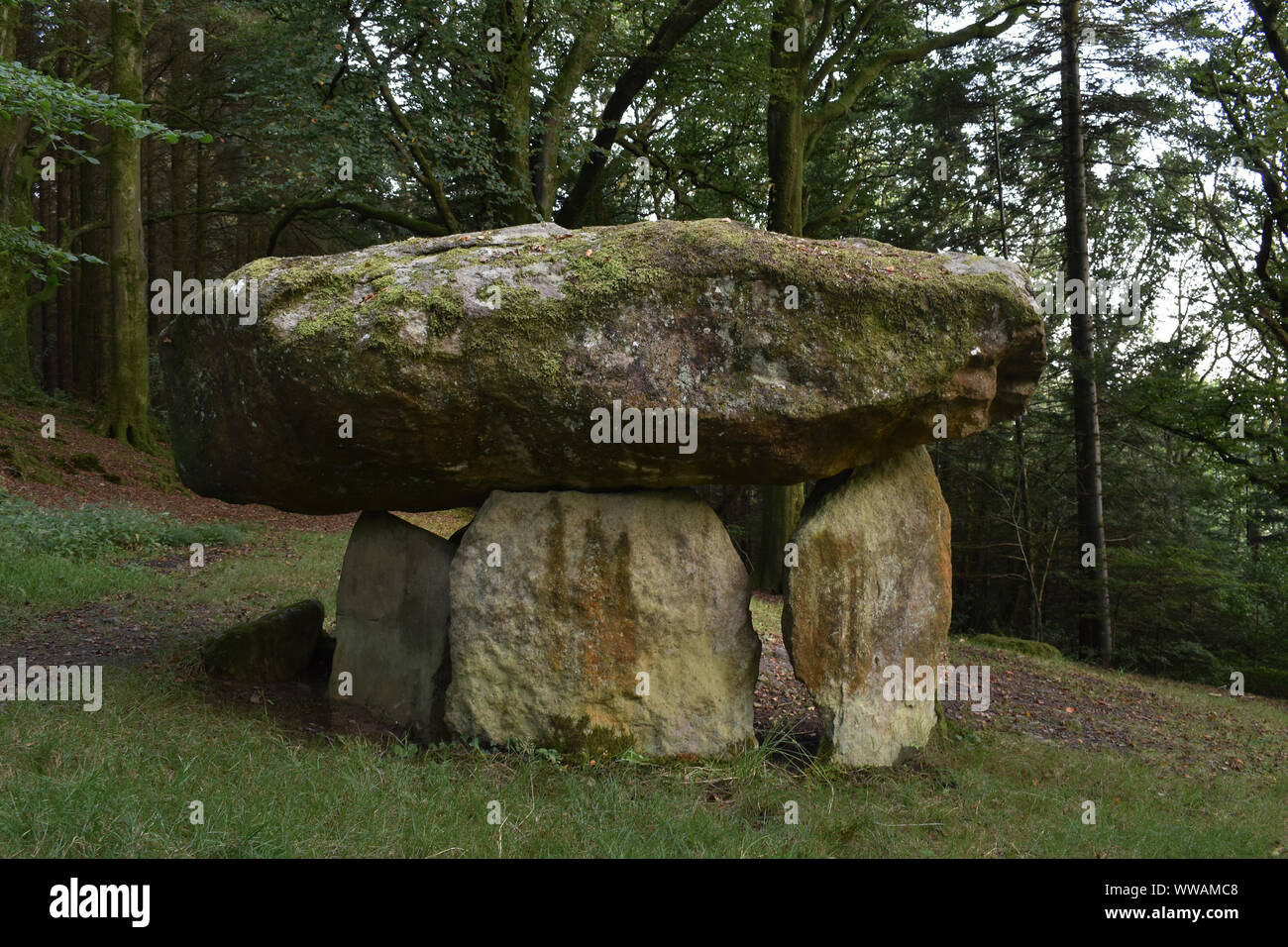 Gwal y Filiast, camera di sepoltura, Carmarthenshire, Galles Foto Stock