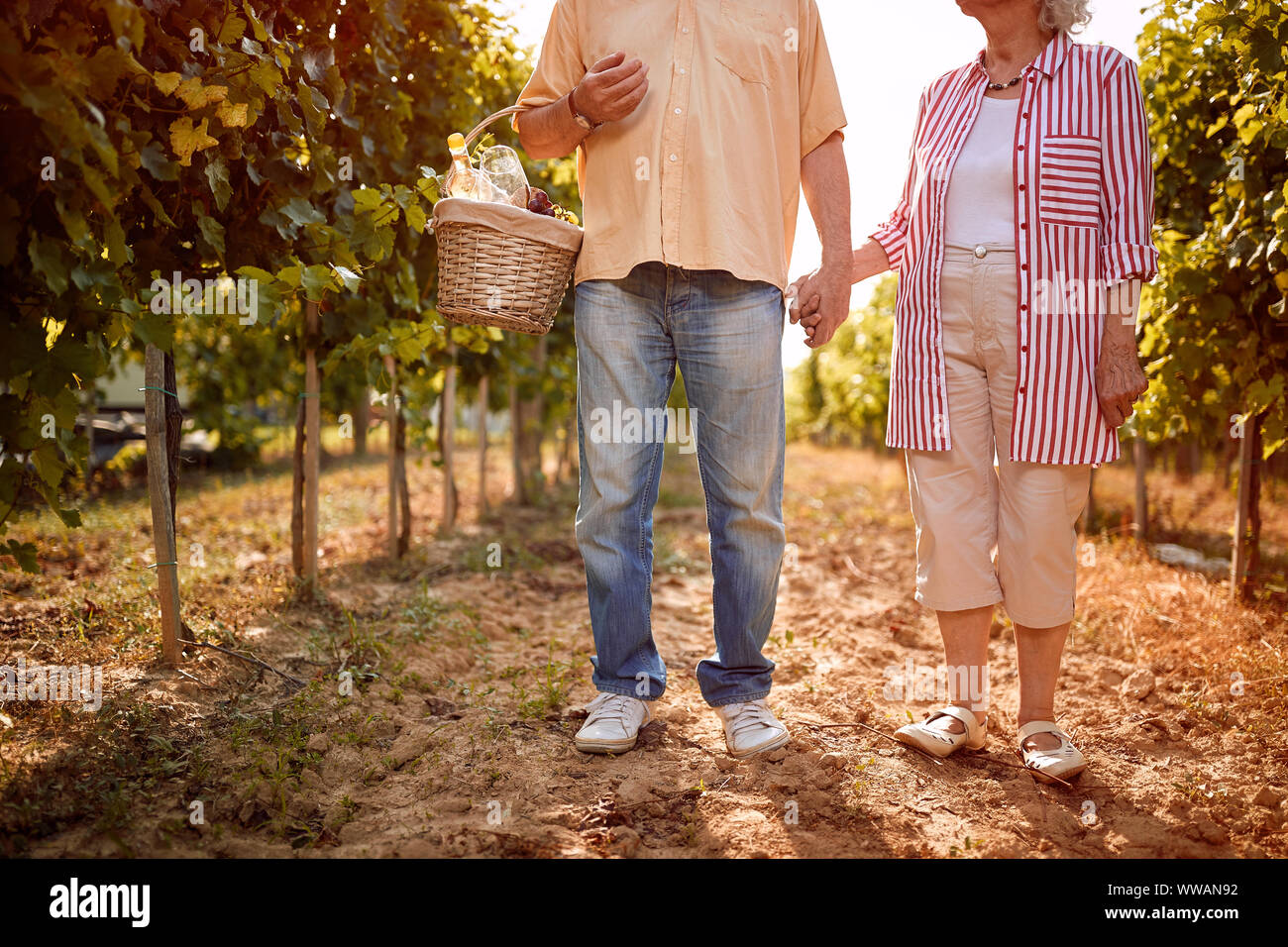 Coppia senior con cesto di uva in vigna Foto Stock